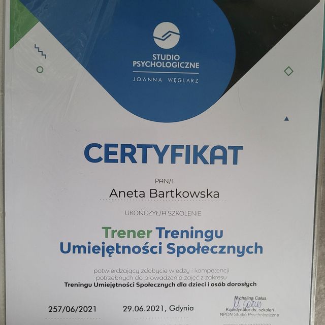 Powiększ obraz: certificate 1