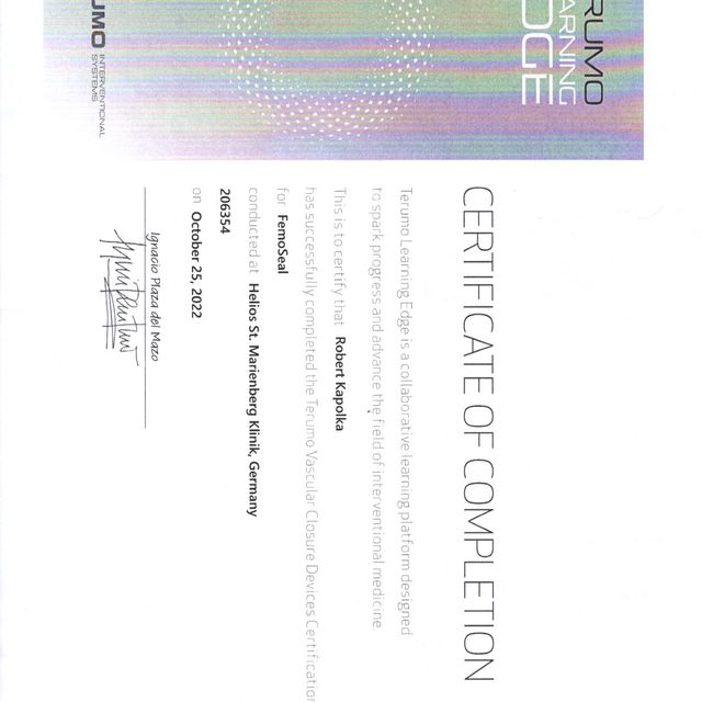 Powiększ obraz: certificate 10