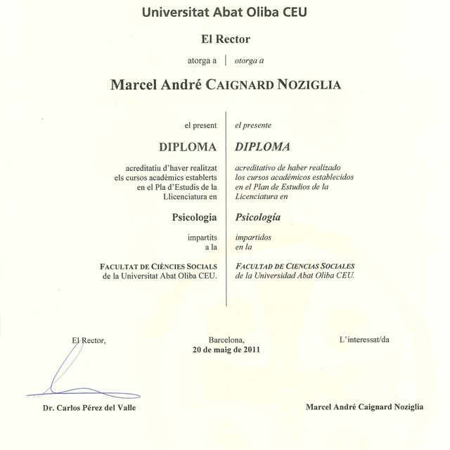 Acercar imagen: certificate 9