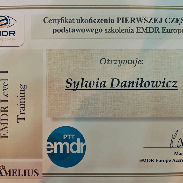 Powiększ obraz: certificate 3