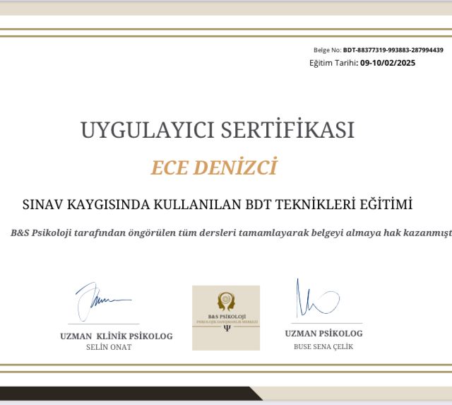 Resmi büyüt: certificate 1