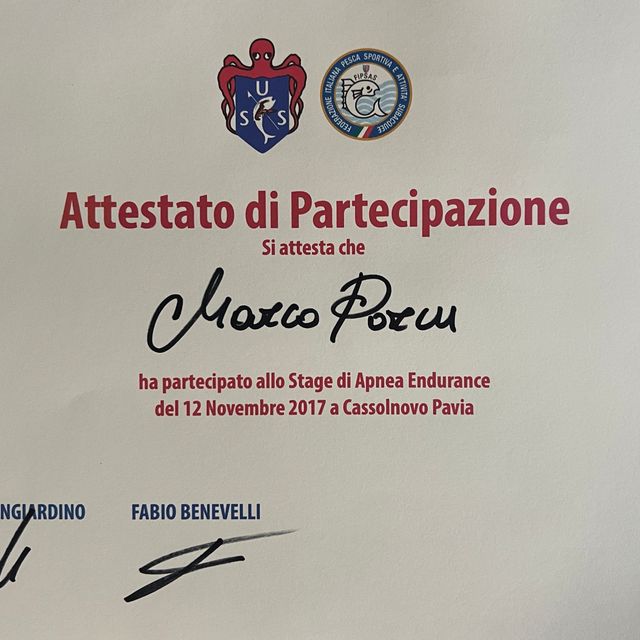 Ingrandire l'immagine: certificate 12