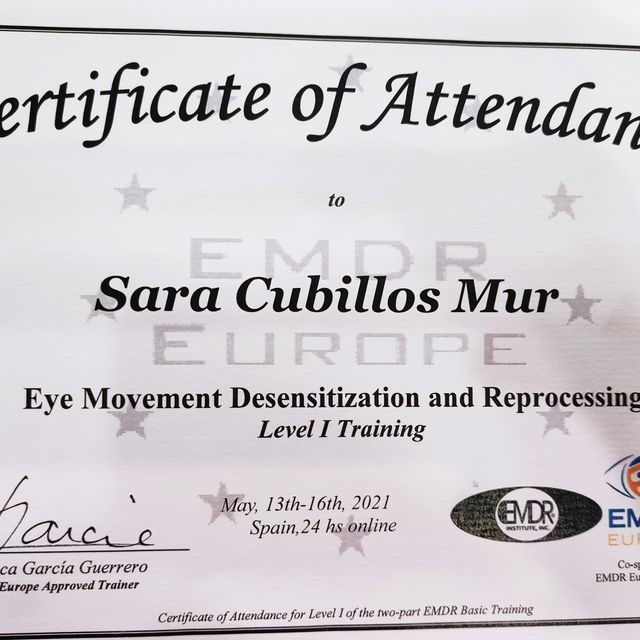 Acercar imagen: certificate 8