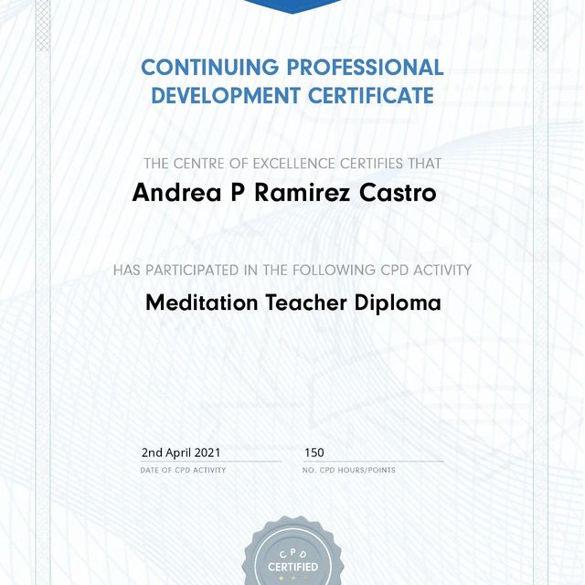 Acercar imagen: certificate 17