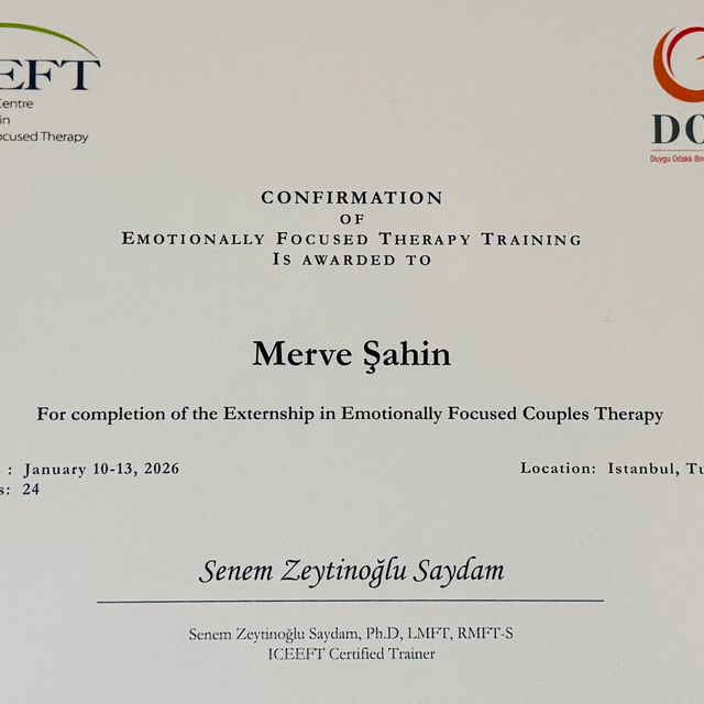 Resmi büyüt: certificate 6