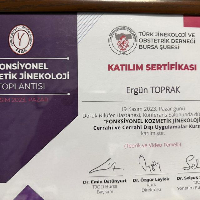 Resmi büyüt: certificate 21