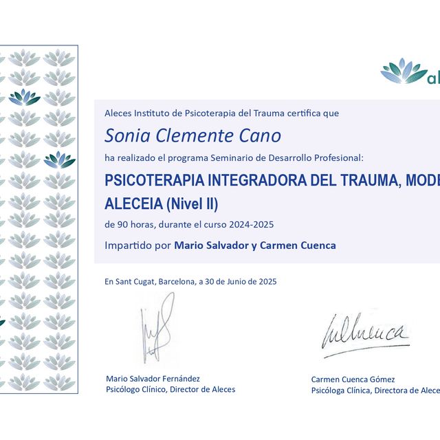 Acercar imagen: certificate 4