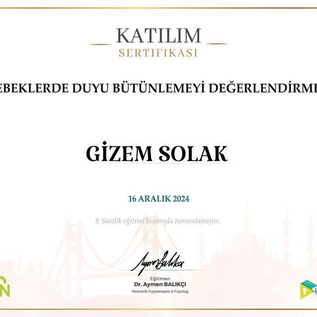 Resmi büyüt: certificate 2
