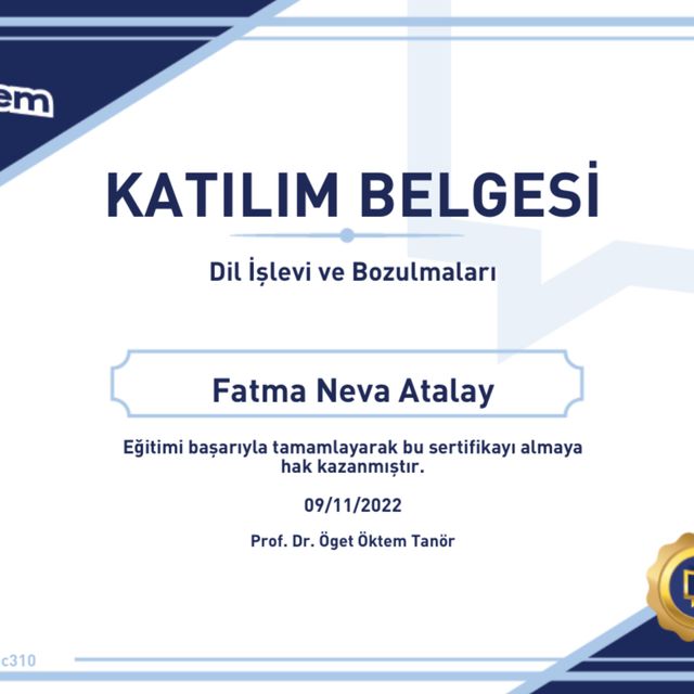 Resmi büyüt: certificate 10