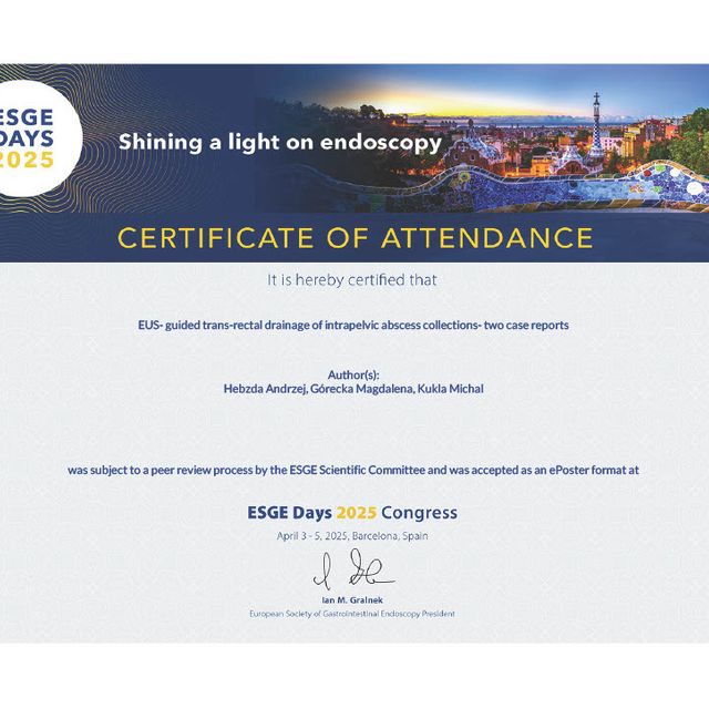 Powiększ obraz: certificate 1