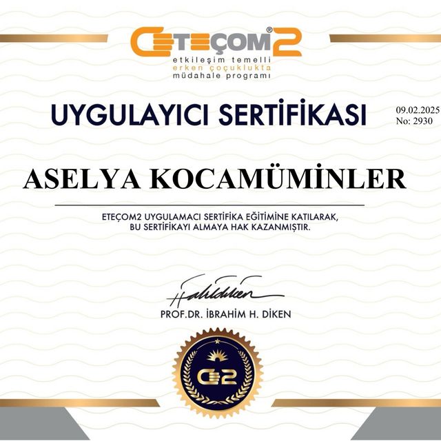 Resmi büyüt: certificate 2
