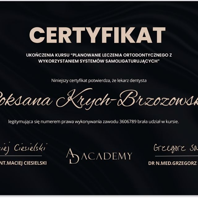Powiększ obraz: certificate 2