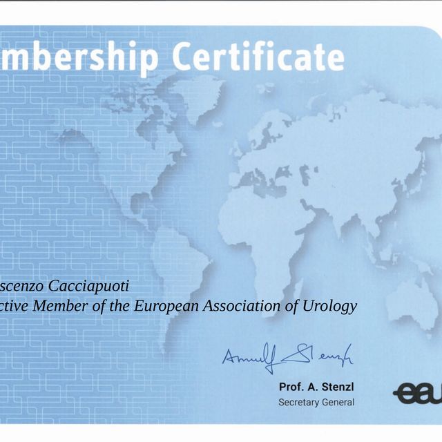 Ingrandire l'immagine: certificate 1