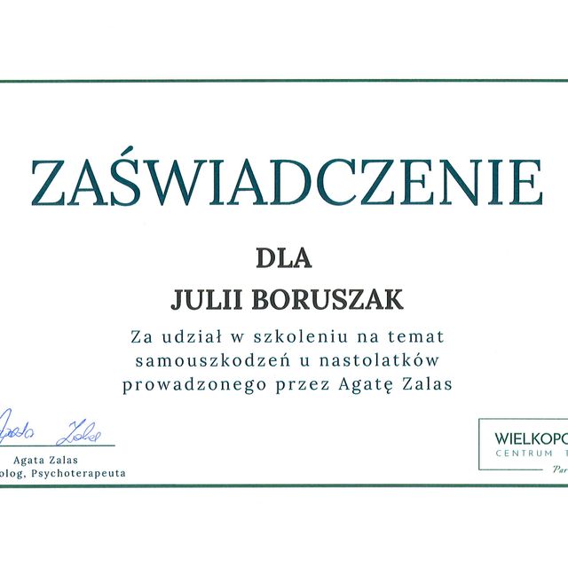 Powiększ obraz: certificate 2