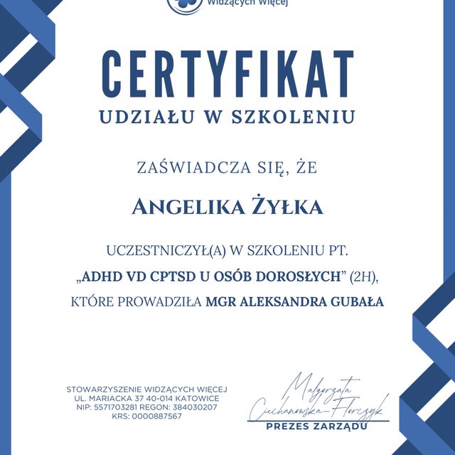 Powiększ obraz: certificate 5
