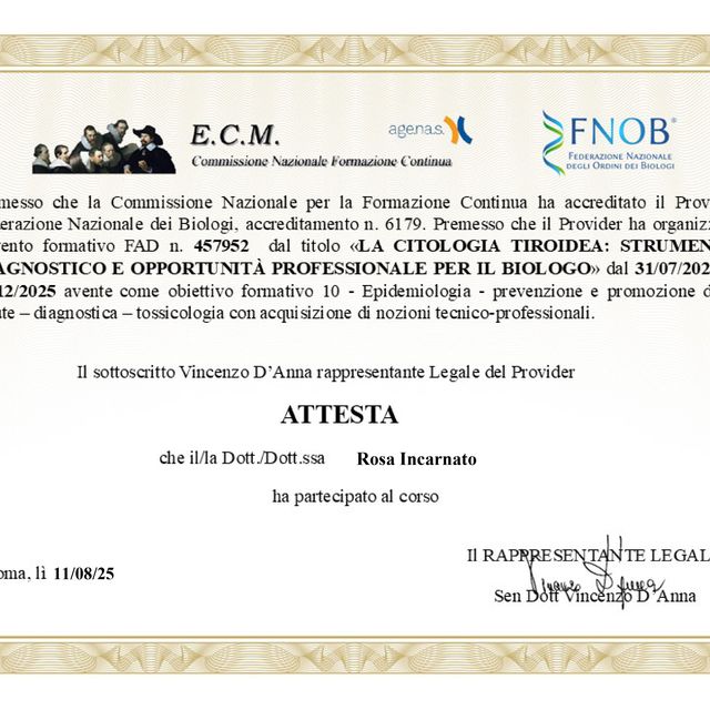 Ingrandire l'immagine: certificate 19