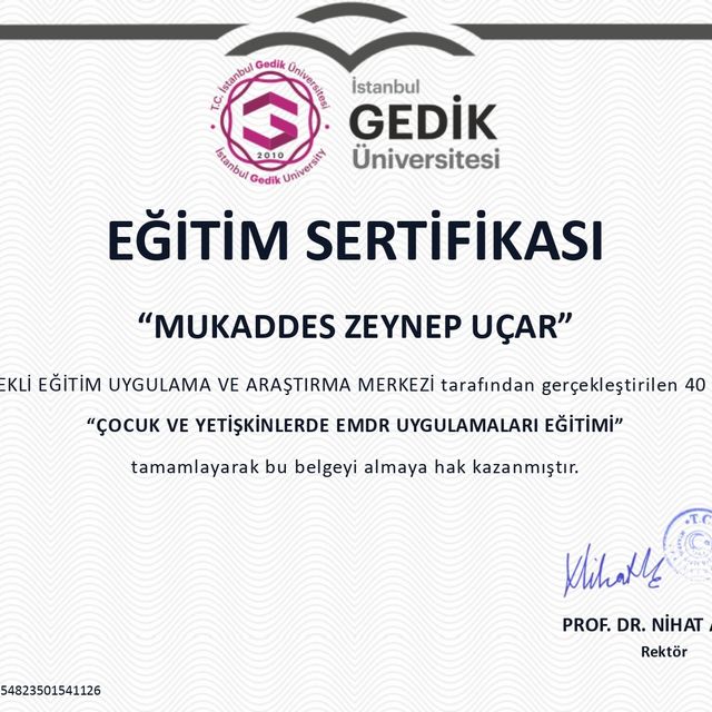 Resmi büyüt: certificate 2