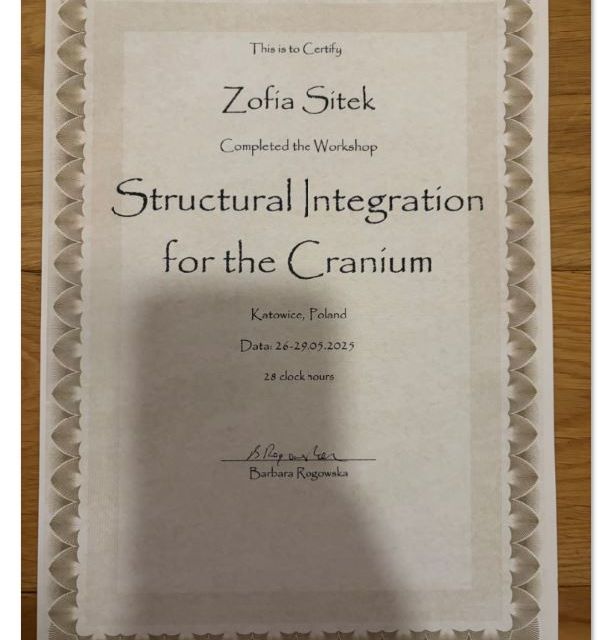 Powiększ obraz: certificate 4