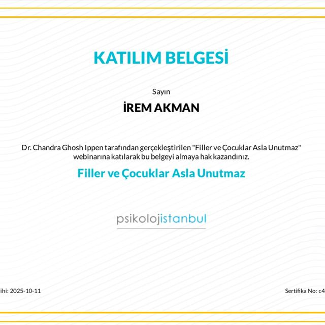 Resmi büyüt: certificate 13