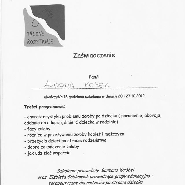 Powiększ obraz: certificate 13