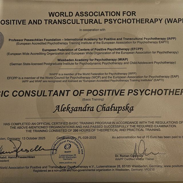 Powiększ obraz: certificate 1