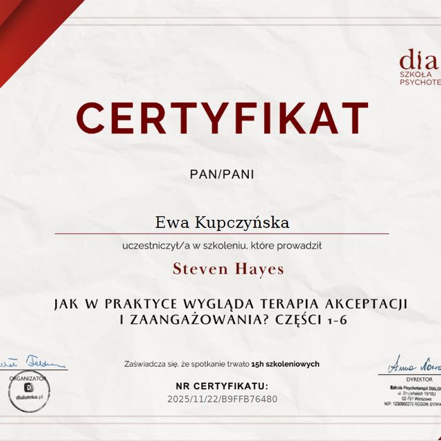 Powiększ obraz: certificate 1