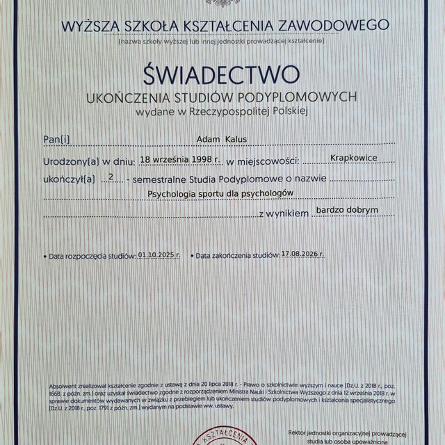 Powiększ obraz: certificate 3
