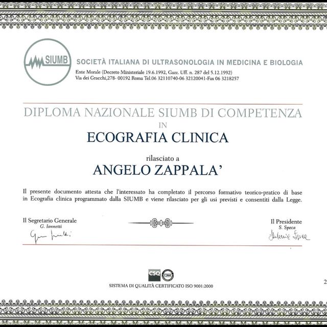 Ingrandire l'immagine: certificate 3