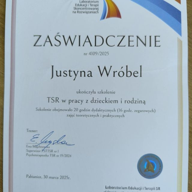 Powiększ obraz: certificate 4