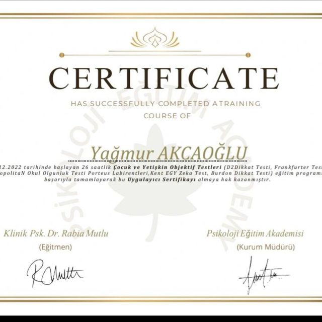 Resmi büyüt: certificate 17