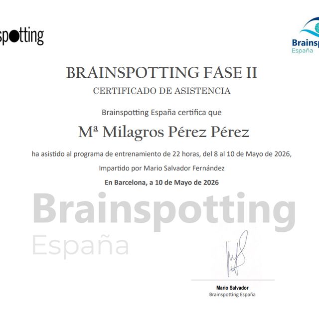 Acercar imagen: certificate 9