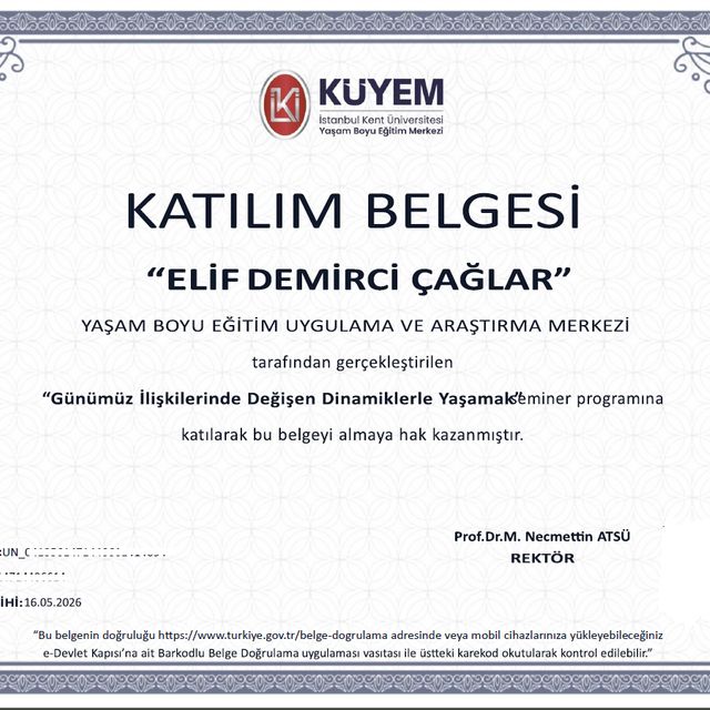 Resmi büyüt: certificate 17