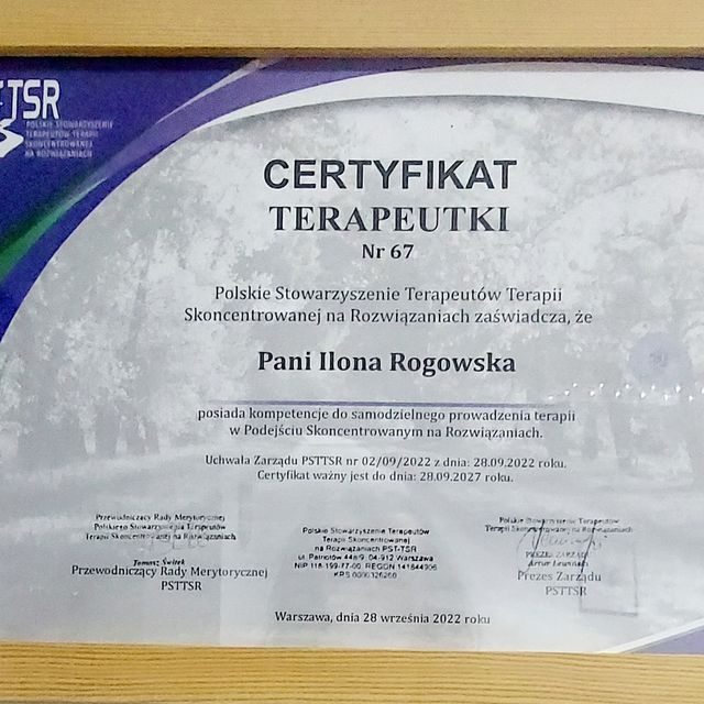 Powiększ obraz: certificate 19