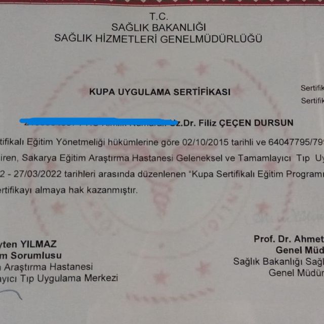 Resmi büyüt: certificate 3