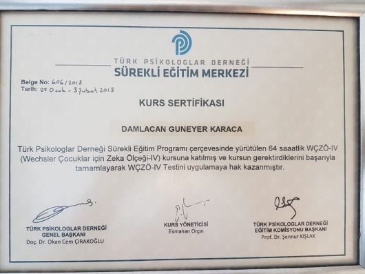 Resmi büyüt: certificate 1