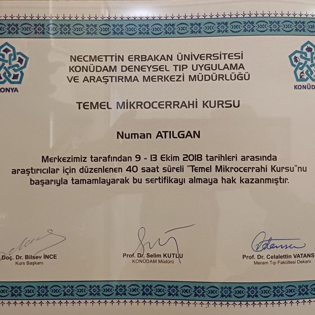 Resmi büyüt: certificate 15