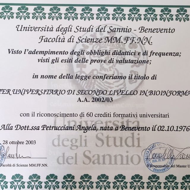 Ingrandire l'immagine: certificate 16