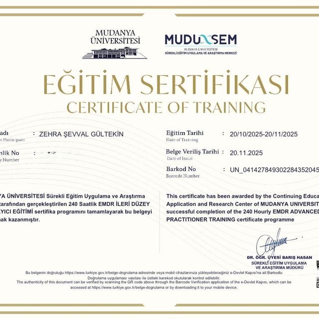 Resmi büyüt: certificate 5