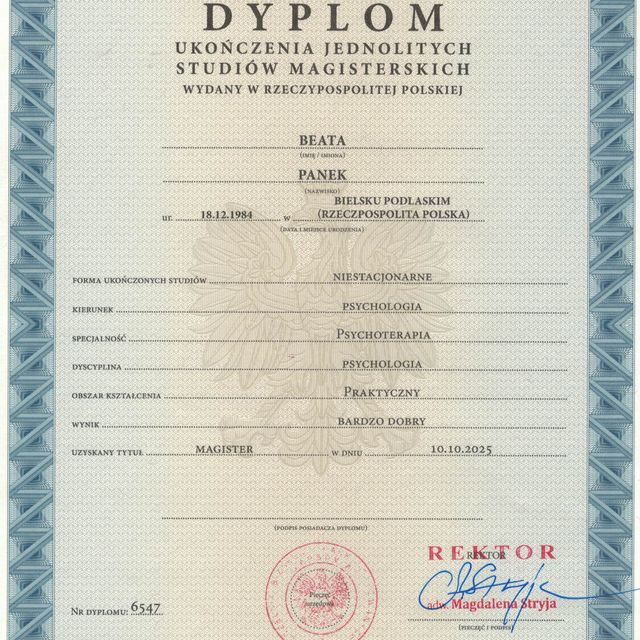 Powiększ obraz: certificate 1