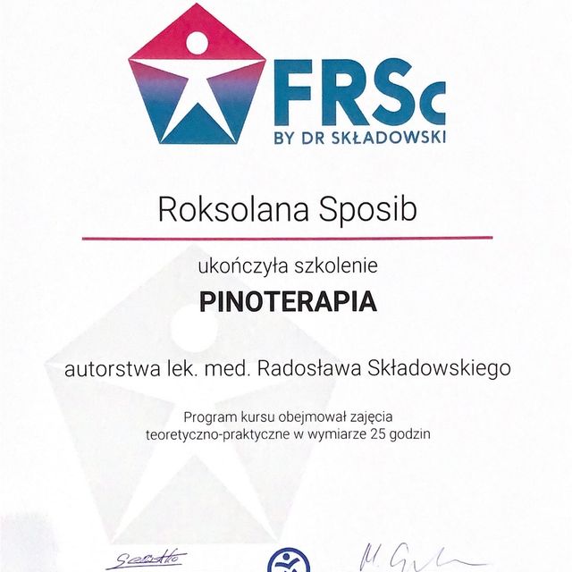 Powiększ obraz: certificate 2