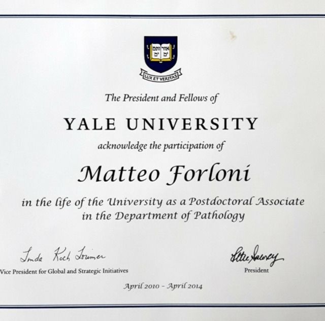 Ingrandire l'immagine: certificate 2