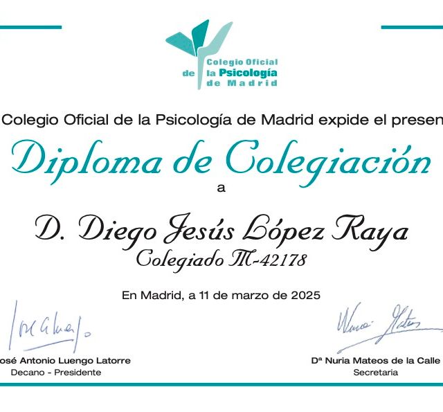Acercar imagen: certificate 3