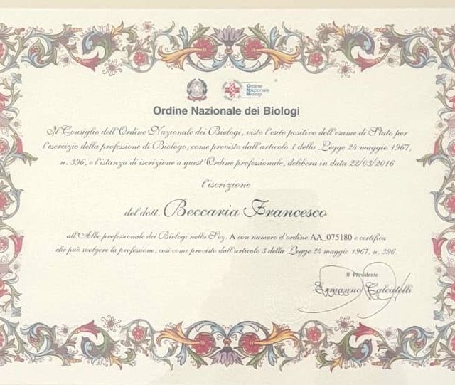 Ingrandire l'immagine: certificate 4