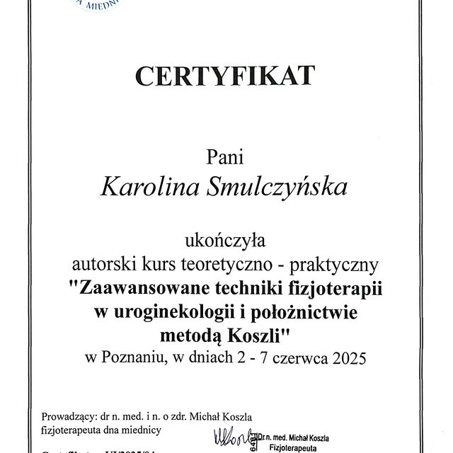 Powiększ obraz: certificate 1