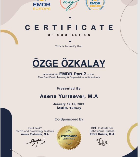Resmi büyüt: certificate 5