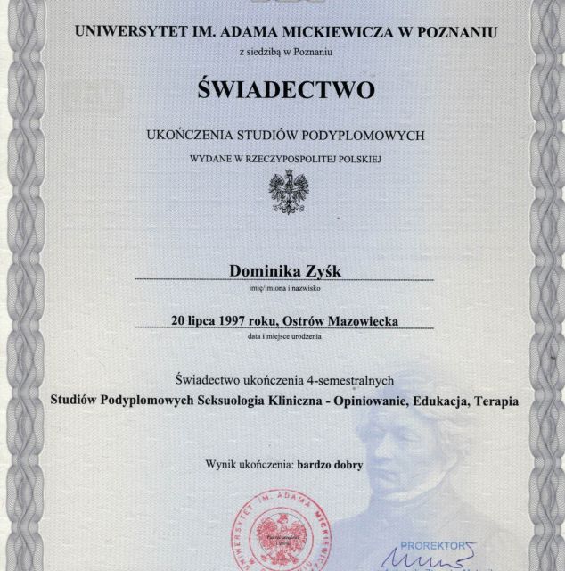 Powiększ obraz: certificate 2