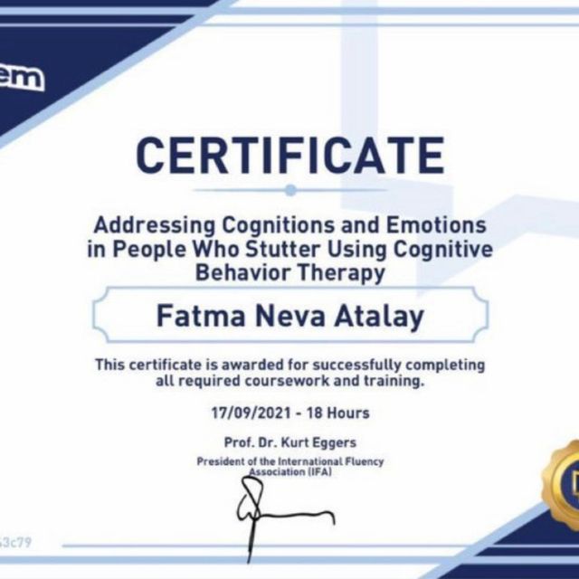 Resmi büyüt: certificate 16