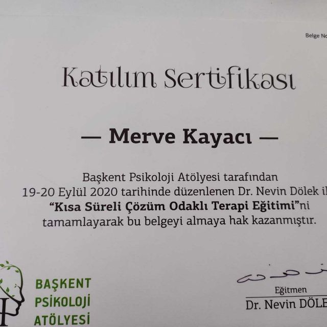 Resmi büyüt: certificate 1