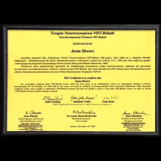 Powiększ obraz: certificate 2