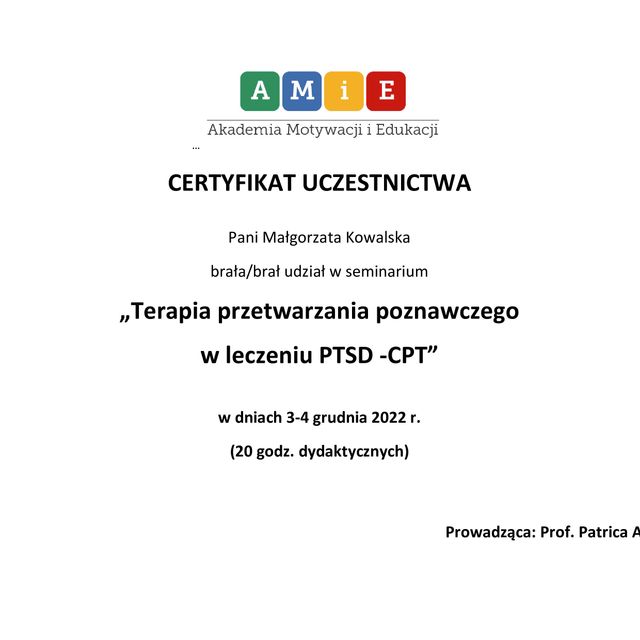 Powiększ obraz: certificate 3